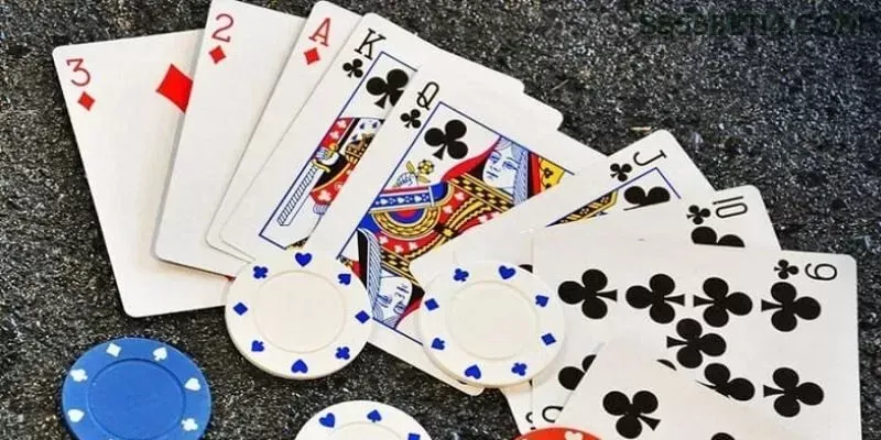 Comparação APP mobile vs versão web da 8855bet